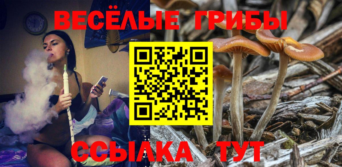 Псилоцибиновые грибы MAGIC MUSHROOMS  Галлюциногенные грибы Cubensis  Кстово  Вход с VPN 